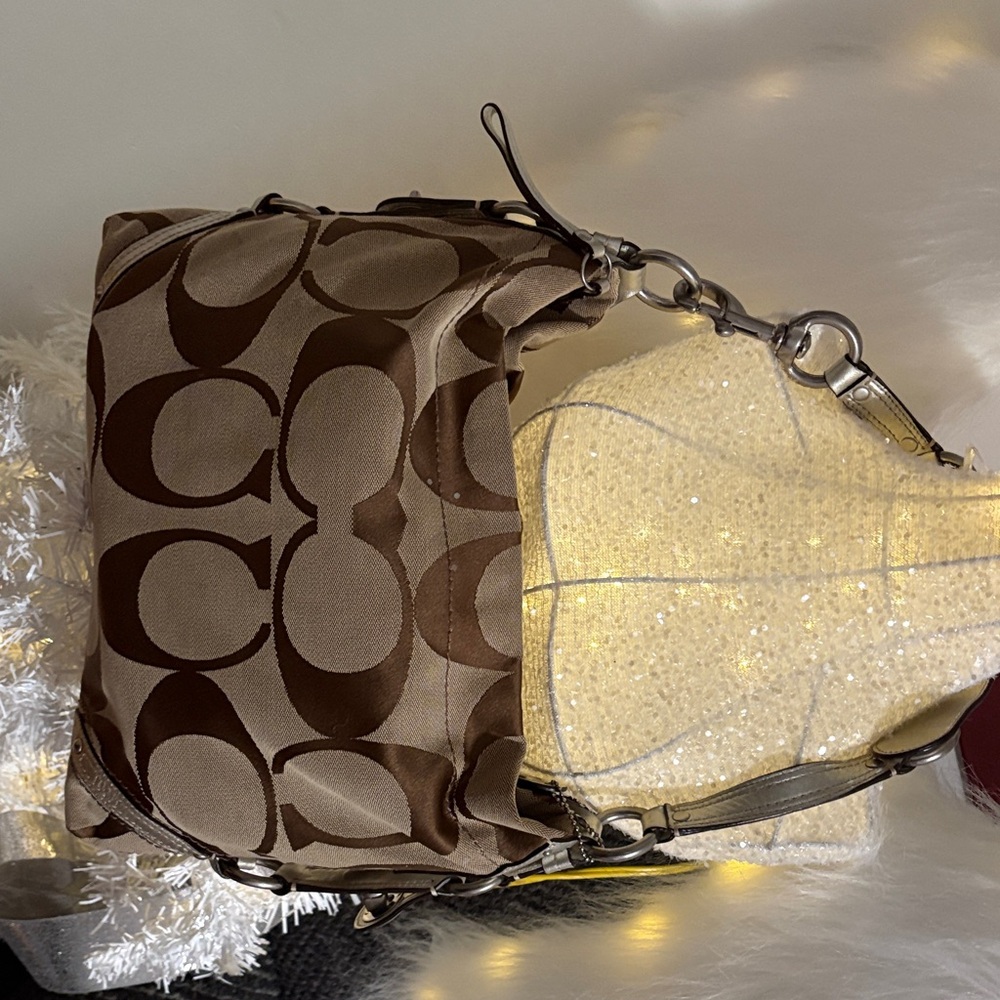 No call outs like newCoach Carly Hobo should bag. Bag was released 2006-2007. - Picture 10 of 16